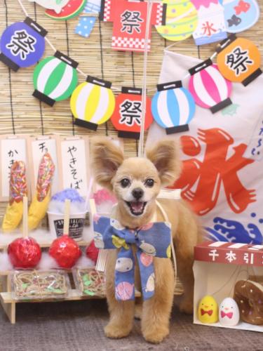 20240728クッキーくん